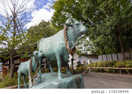 石切劔箭神社の親子蓮牛像(2024年9月撮影) 石切劔箭神社の親子蓮牛像(2024年9月撮影) 119236444