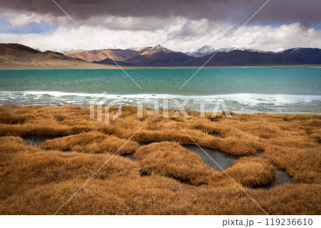 Sasykkul or Sasyk-kul lake in Murghab region, Tajikistan Sasykkul or Sasyk-kul lake in Murghab region, Tajikistan 119236610
