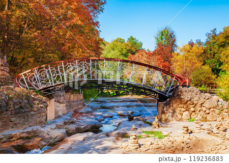 Bridge in Kislovodsk National Park Bridge in Kislovodsk National Park 119236883