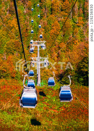 Cable car at Rosa Khutor, Sochi 119236930