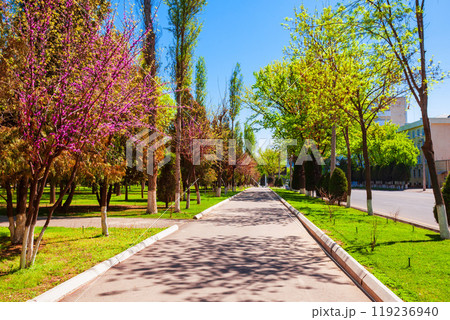 Amir Timur Avenue at spring, Tashkent 119236940