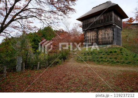 愛知県豊田市_足助城の紅葉17_2023年12月 119237212