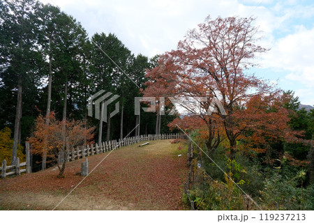 愛知県豊田市_足助城の紅葉18_2023年12月 愛知県豊田市_足助城の紅葉18_2023年12月 119237213