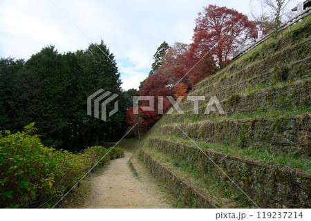 愛知県豊田市_足助城の紅葉19_2023年12月 119237214