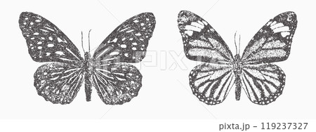 Butterfly vector illustration. Trendy stippling photocopy effect Butterfly vector illustration. Trendy stippling photocopy effect 119237327