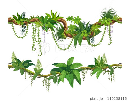 Lianas of tropical jungle forest, or ivy vine branches with monstera leaves, vector border frames. Cartoon tropical rainforest creeping plants or jungle liana and bindweed tree with climbing tendrils 119238116
