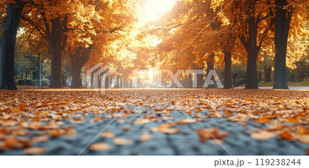 A path lined with trees in autumn, sunlight filtering through the branches. A path lined with trees in autumn, sunlight filtering through the branches. 119238244