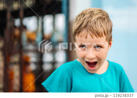Portrait boy. Happy childhood, sincere emotions, joy of life, family education 119238337