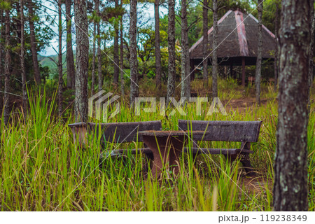 Nature coniferous forest park view background. Gazebo gable roof canopy stone marble table bench. Summer sun day tree grass shadow sky meadow. Peace life style leisure simple secluded memories Nature coniferous forest park view background. Gazebo gable roof canopy stone marble table bench. Summer sun day tree grass shadow sky meadow. Peace life style leisure simple secluded memories 119238349