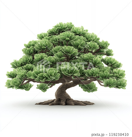 A lush green Bonsai tree isolated on a white background. 119238410