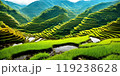 Green rice terraces bask in sunset glow 119238628
