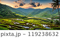 Green rice terraces bask in sunset glow 119238632