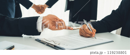 Two business executive shake hand in boardroom for merger and acquisition. Shrewd 119238801