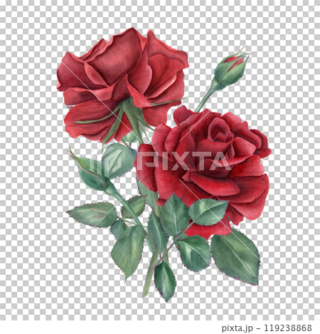 Watercolor vintage dark red rose bouquet illustration. Romantic roses flowers and green leaves on stem in realistic style. Floral composition for wedding greeting, memory day cards Watercolor vintage dark red rose bouquet illustration. Romantic roses flowers and green leaves on stem in realistic style. Floral composition for wedding greeting, memory day cards 119238868