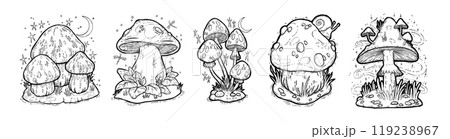 Magic mushrooms. Celestial witchy lines, mystical star and moon silhouettes. Bohemian witchcraft bundle. Sketch style drawing. Fairytale toxic botanical decor. Unusual flora. Vector outline set Magic mushrooms. Celestial witchy lines, mystical star and moon silhouettes. Bohemian witchcraft bundle. Sketch style drawing. Fairytale toxic botanical decor. Unusual flora. Vector outline set 119238967