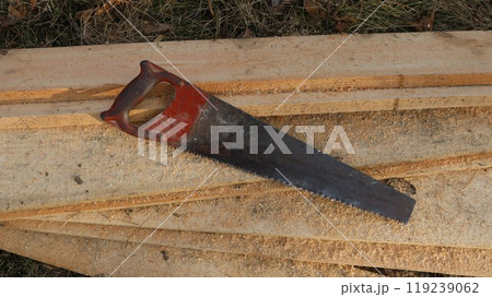 an old hacksaw lies on sawn boards strewn with sawdust like a village scene, a peasant's working hand tool at a construction site and in farm activities 119239062