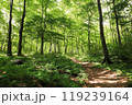 新緑の森を行く 119239164