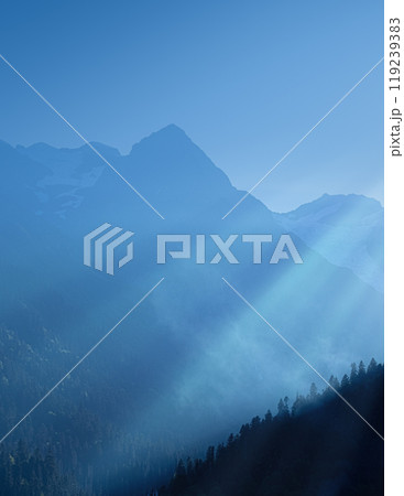 Mystical Morning Sunlight 119239383