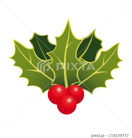 Christmas Holly Bunch with Green Leaves and Red Berries. Vector Holiday Holly Branch Isolated on White 119239757