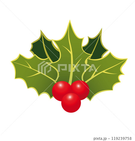 Christmas Holiday Branch with Holly Leaves and Red Berries. Vector Holiday Holly Branch Isolated on White Christmas Holiday Branch with Holly Leaves and Red Berries. Vector Holiday Holly Branch Isolated on White 119239758