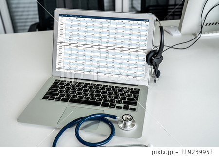 Accounting software on computer screen showing financial statement snugly 119239951