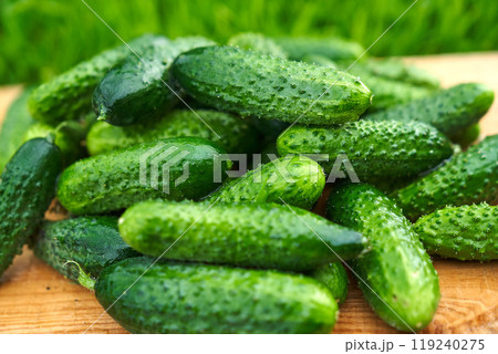 Freshly picked green cucumbers on the board background 119240275