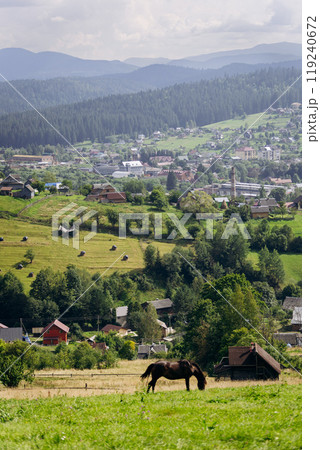 Vorokhta landscape with grazing horse on field against the backdrop of traditional village homes Vorokhta landscape with grazing horse on field against the backdrop of traditional village homes 119240672