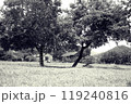 日本の田舎の自然風景(モノクロ写真) 119240816