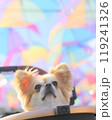 ペキチワ 119241326