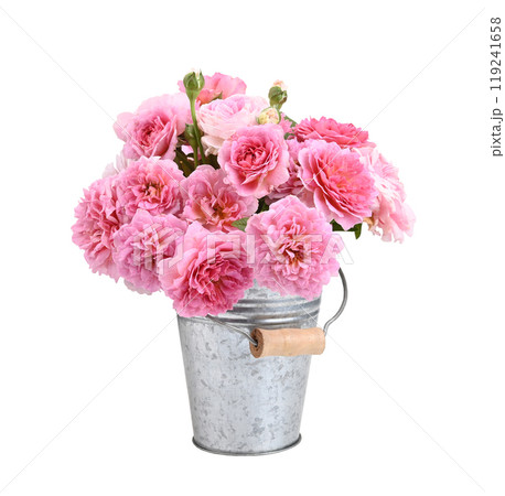 pink roses in a vase on white background pink roses in a vase on white background 119241658