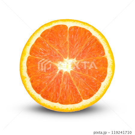 Caracara Orange isolated on white background 119241710