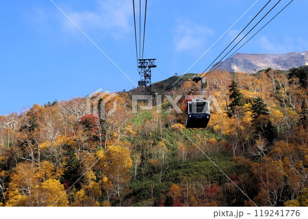 日本一早い紅葉 大雪山旭岳のロープウェイ 北海道 日本一早い紅葉 大雪山旭岳のロープウェイ 北海道 119241776