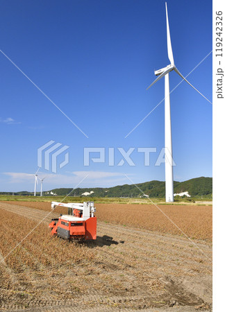 秋の北海道江差町で大豆の収穫作業風景を撮影 119242326