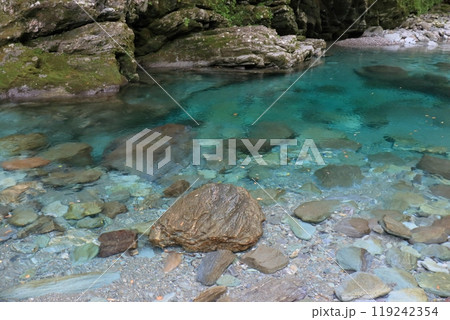 安居渓谷 透明度の高い水晶淵 夏の終わり (高知県 仁淀川町) 安居渓谷 透明度の高い水晶淵 夏の終わり (高知県 仁淀川町) 119242354