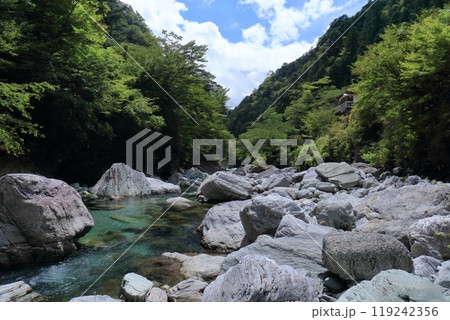安居渓谷の景観　夏から秋へ　（高知県　仁淀川町） 119242356