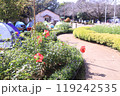 日曜日、ふなばしアンデルセン公園 119242535