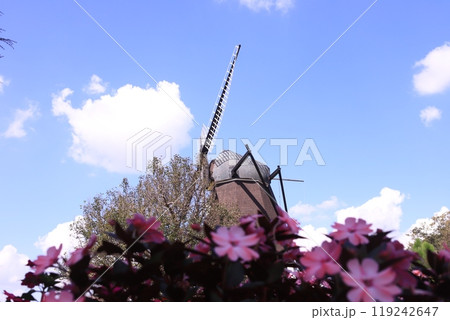 日曜日、ふなばしアンデルセン公園 119242647