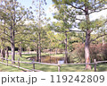 日曜日、ふなばしアンデルセン公園 119242809