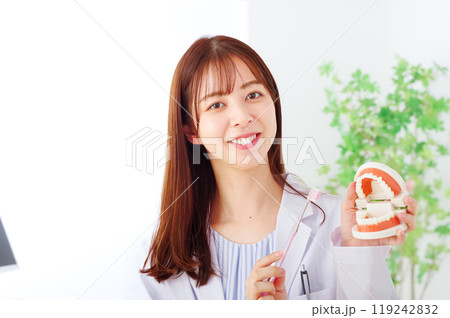 歯磨きの指導をする女性医師 119242832