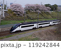 桜並木と京成スカイライナー 119242844