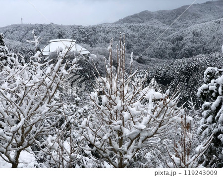 雪の天城ドーム 119243009
