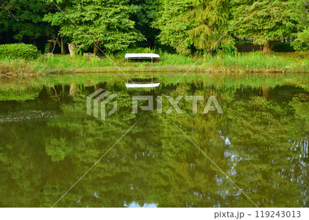 秋の色づき始め　あずま屋からの眺め　大池湖畔　城山公園　桶川市　　 119243013
