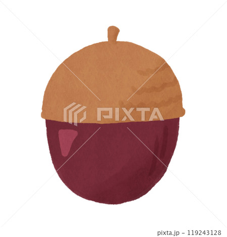 丸いどんぐり 119243128