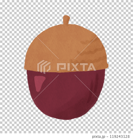 丸いどんぐり 119243128