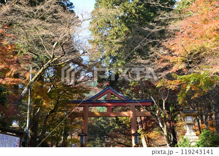 日吉大社の紅葉（滋賀県大津市） 119243141