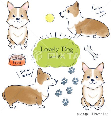 コーギーの色鉛筆の手描きイラストセット 119243152