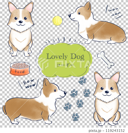 コーギーの色鉛筆の手描きイラストセット 119243152