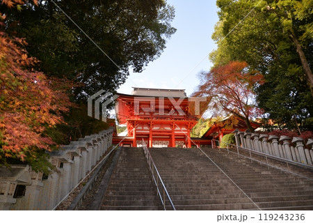 近江神宮（滋賀県大津市） 119243236