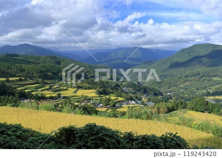 溜井の棚田 秋の景観 (高知県 土佐町) 溜井の棚田 秋の景観 (高知県 土佐町) 119243420
