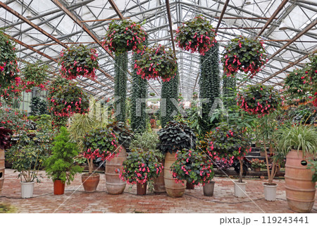 松江フォーゲルパーク 松江フォーゲルパーク 119243441